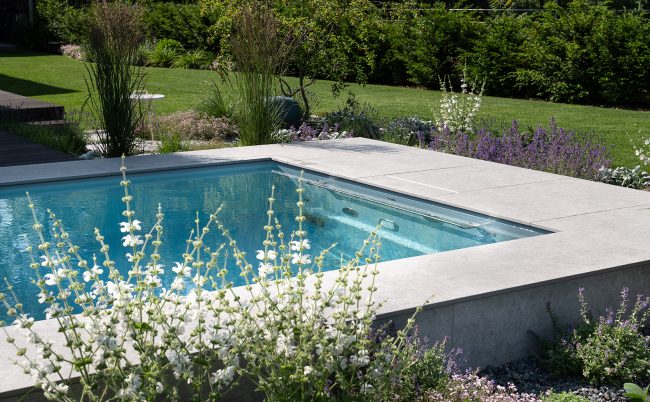 Bepflanzung um den Pool Leidenfrost Pools