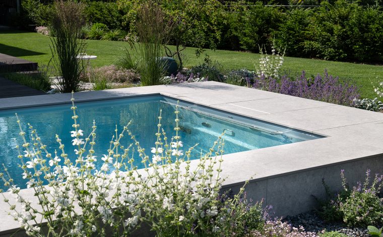 Bepflanzung um den Pool Leidenfrost Pools