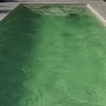 Algen trüben den Badespaß im Pool